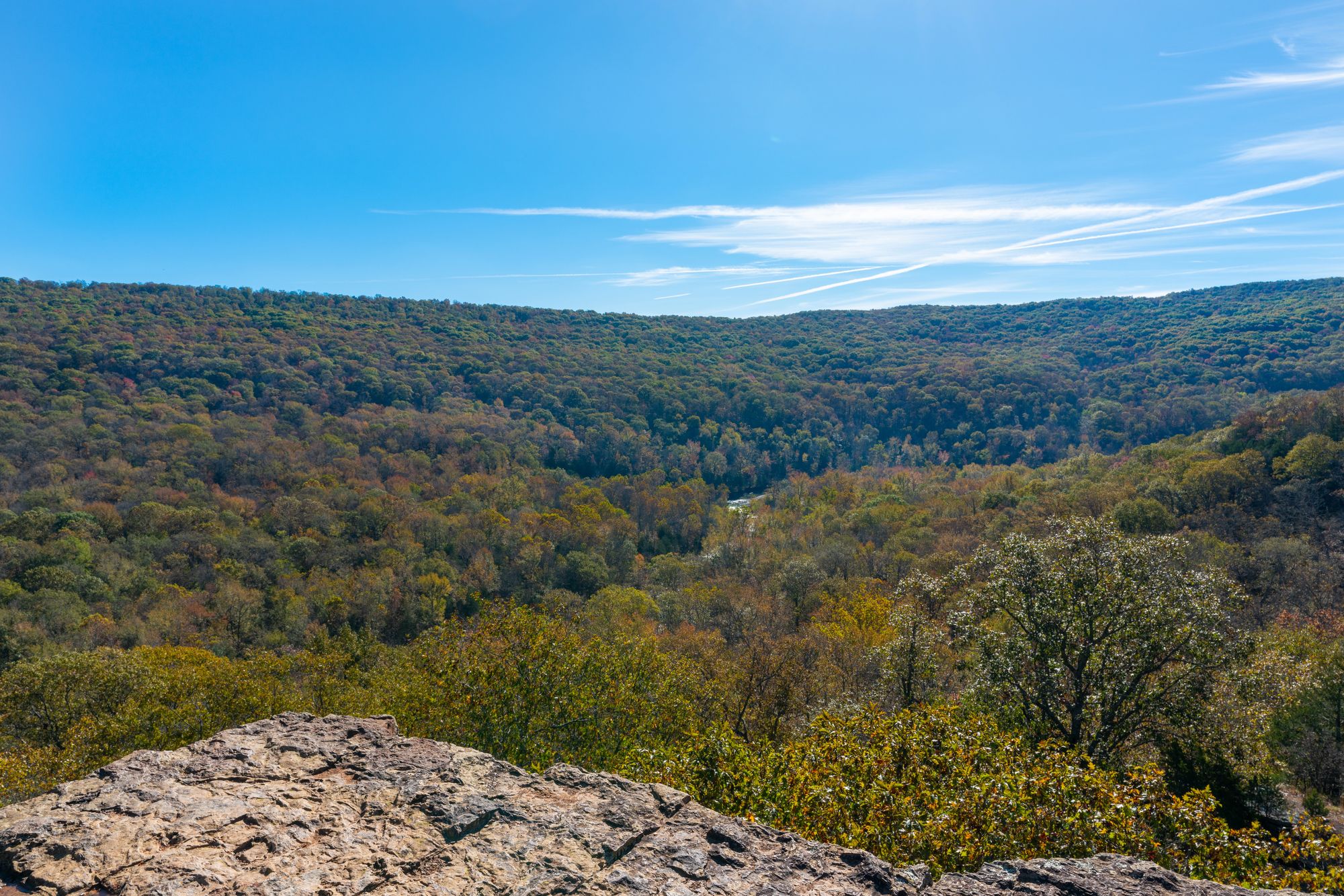A scenic view of the Northwest Arkansas landscape